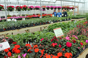 Garden Center